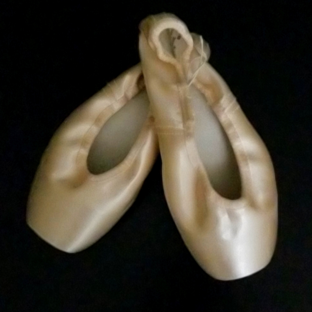 Gaynor minden pointe shoes
